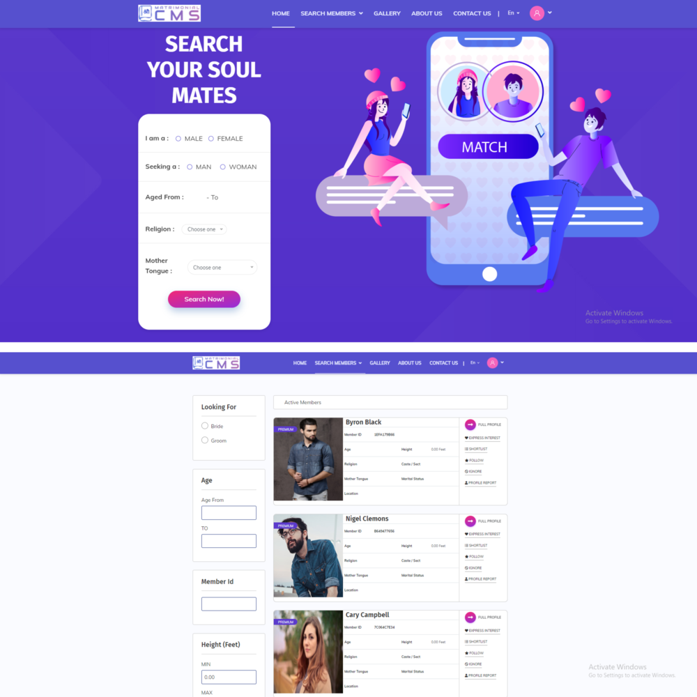 Website Design & Development portfolio Shreenology Infotech